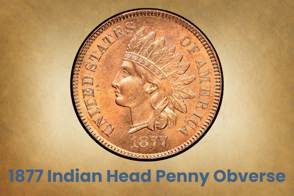 1877 Indian Head Penny Obverse