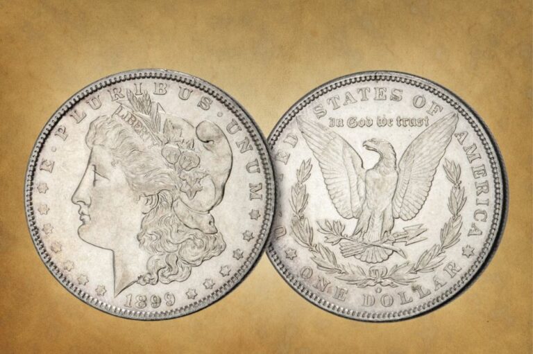 1899 Silver Dollar