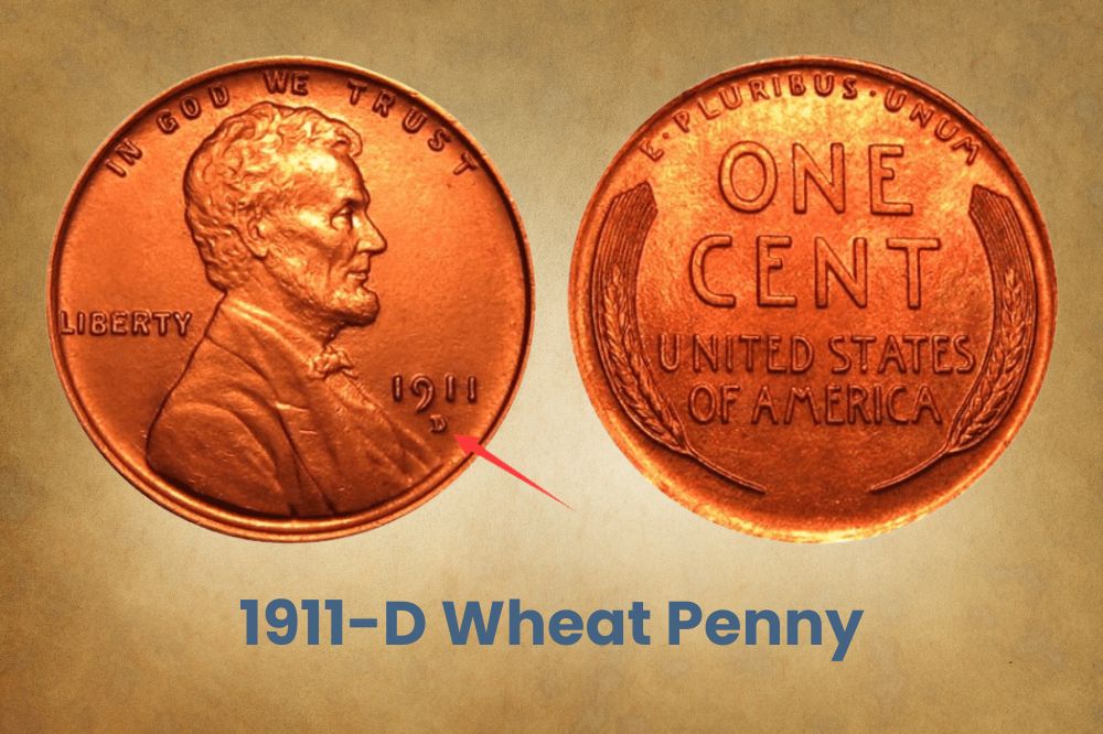 1911-D Wheat Penny