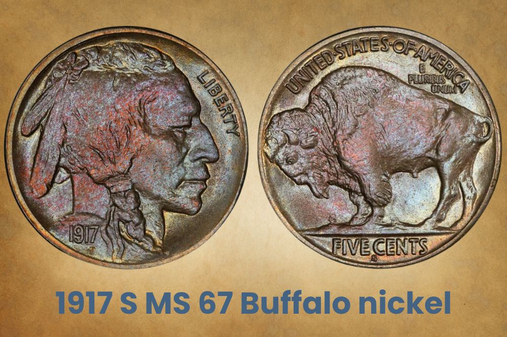 1917 S MS 67 Buffalo nickel