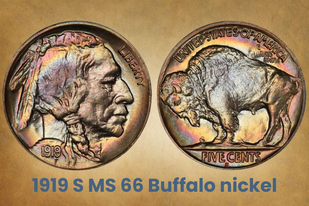 1919 S MS 66 Buffalo nickel