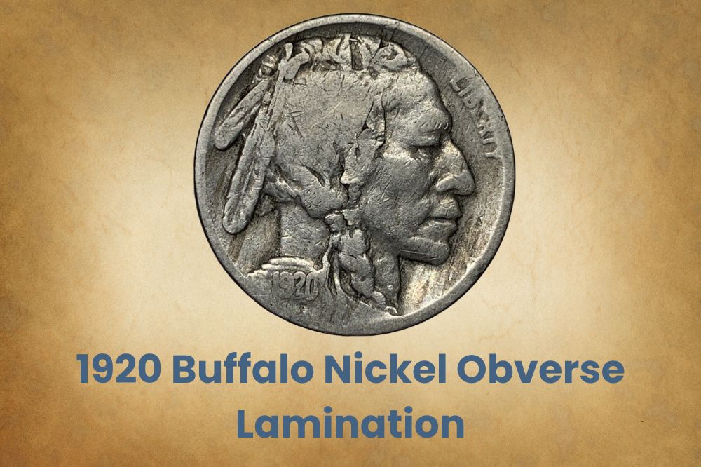 1920 Buffalo Nickel Obverse Lamination