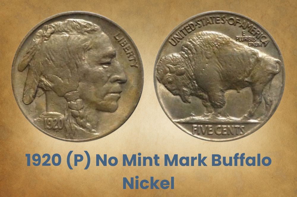 1920 (P) No Mint Mark Buffalo Nickel