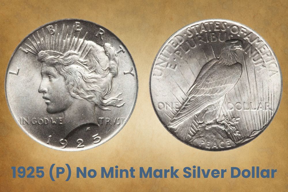 1925 (P) No Mint Mark Silver Dollar