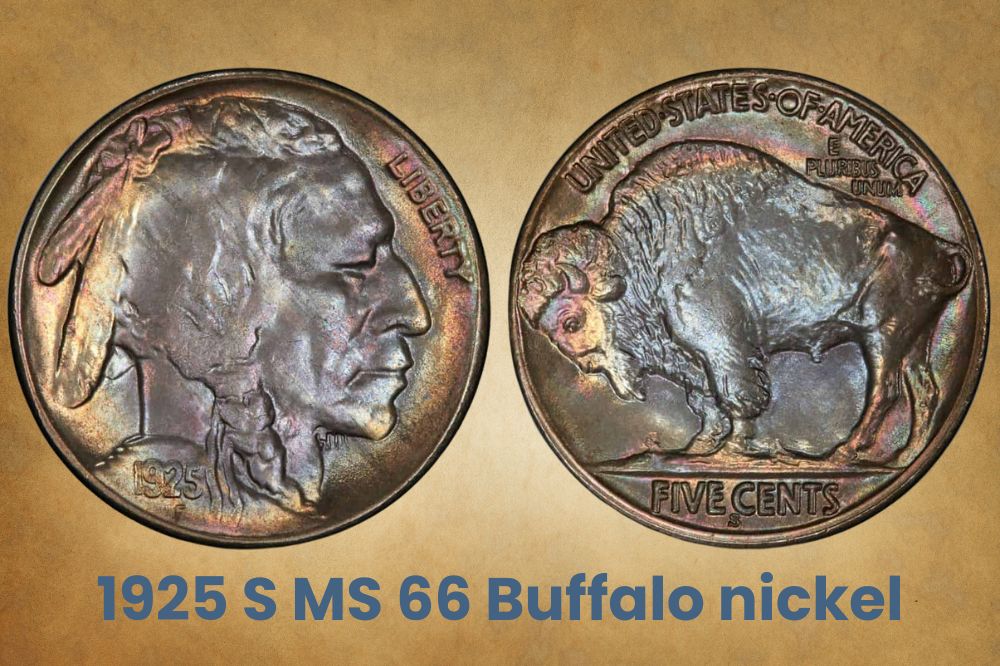 1925 S MS 66 Buffalo nickel