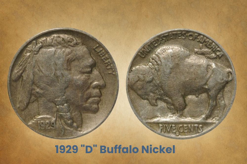 1929 "D" Buffalo Nickel