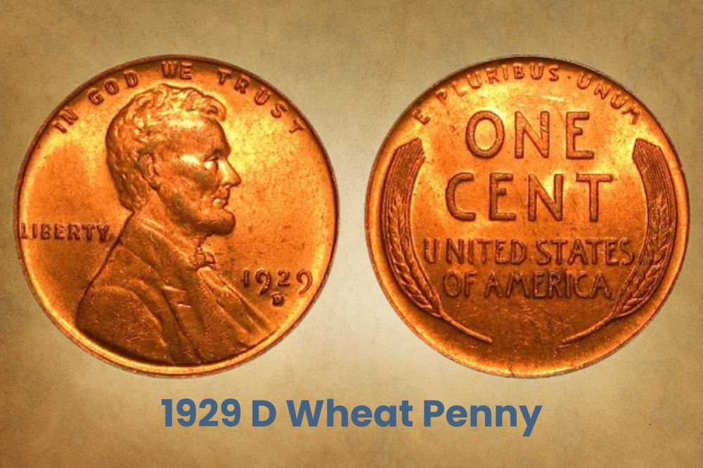 1929 D Wheat Penny