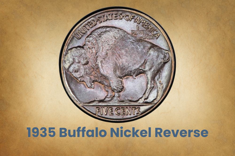 1935 Buffalo Nickel Reverse