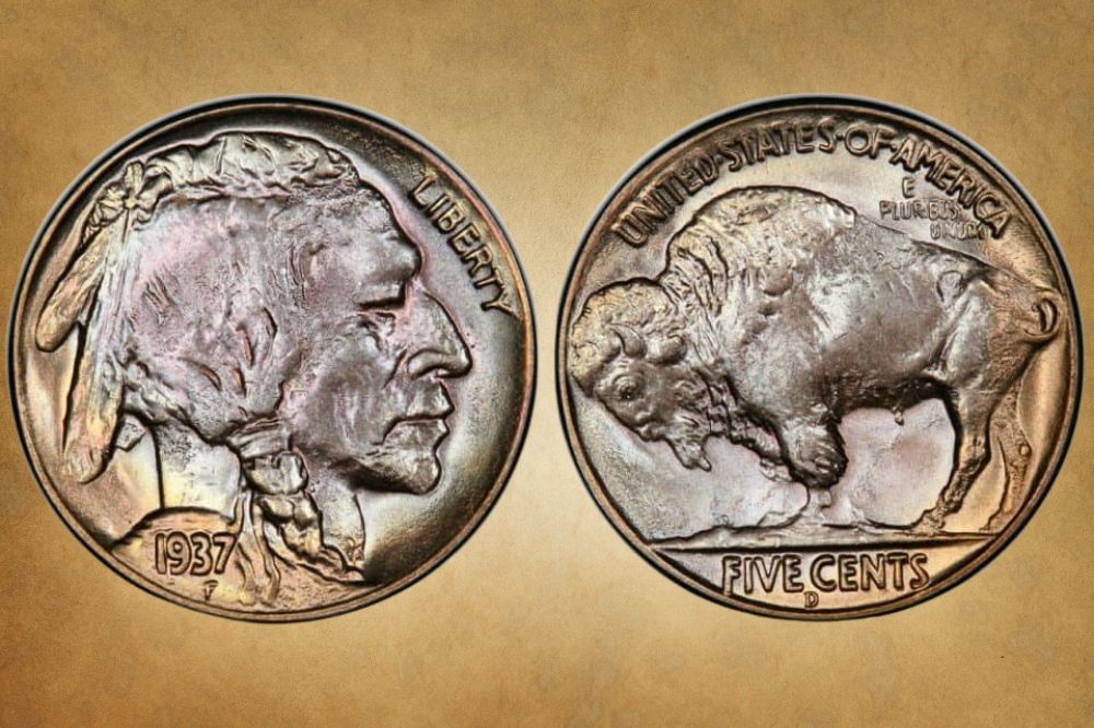 1937 Buffalo Nickel Value