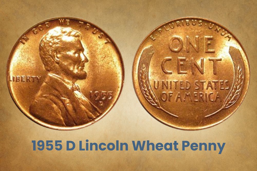 1955 D Lincoln Wheat Penny