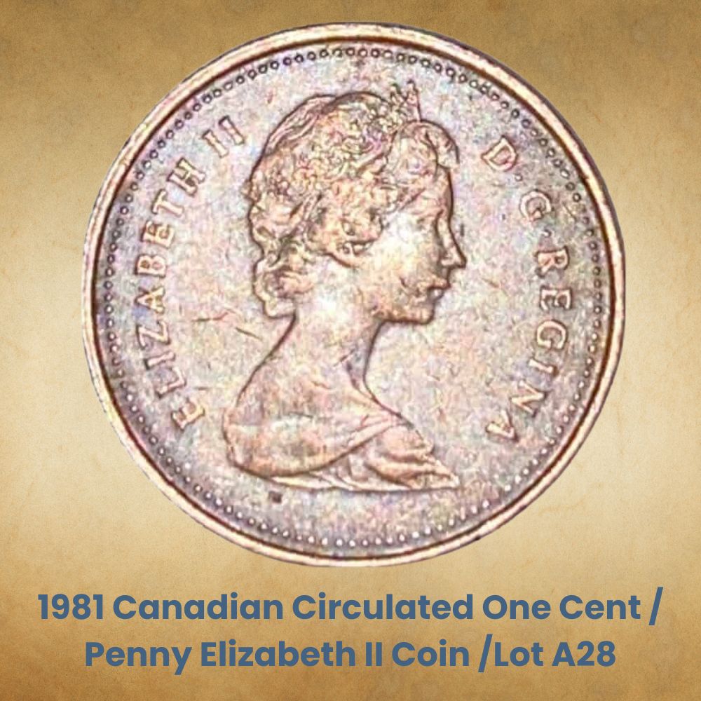 1981 Canadian Circulated One Cent / Penny Elizabeth II Coin /Lot A28