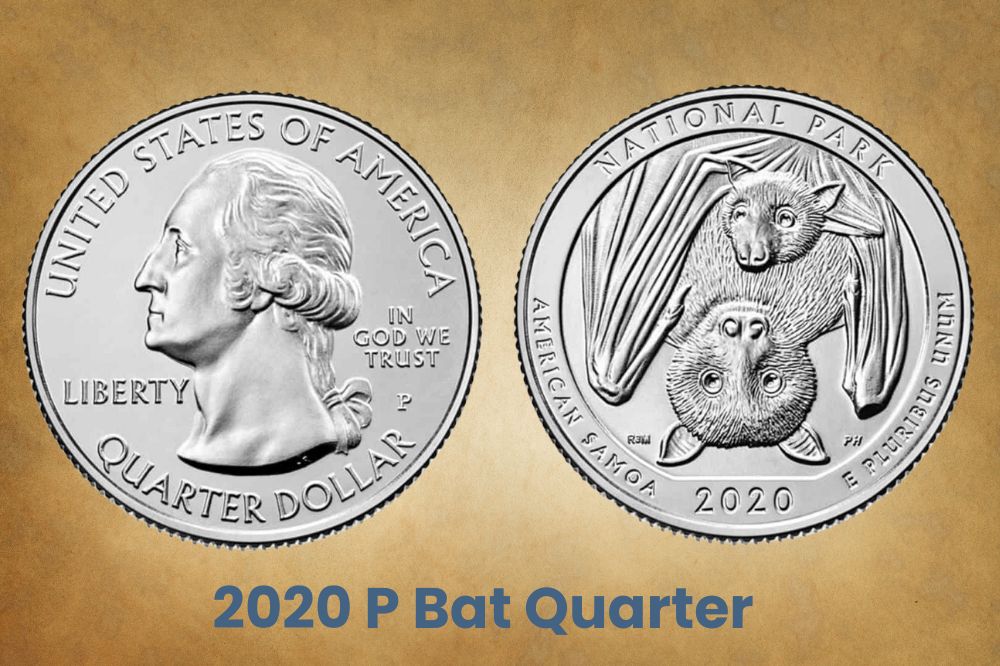 2020 P Bat Quarter Value