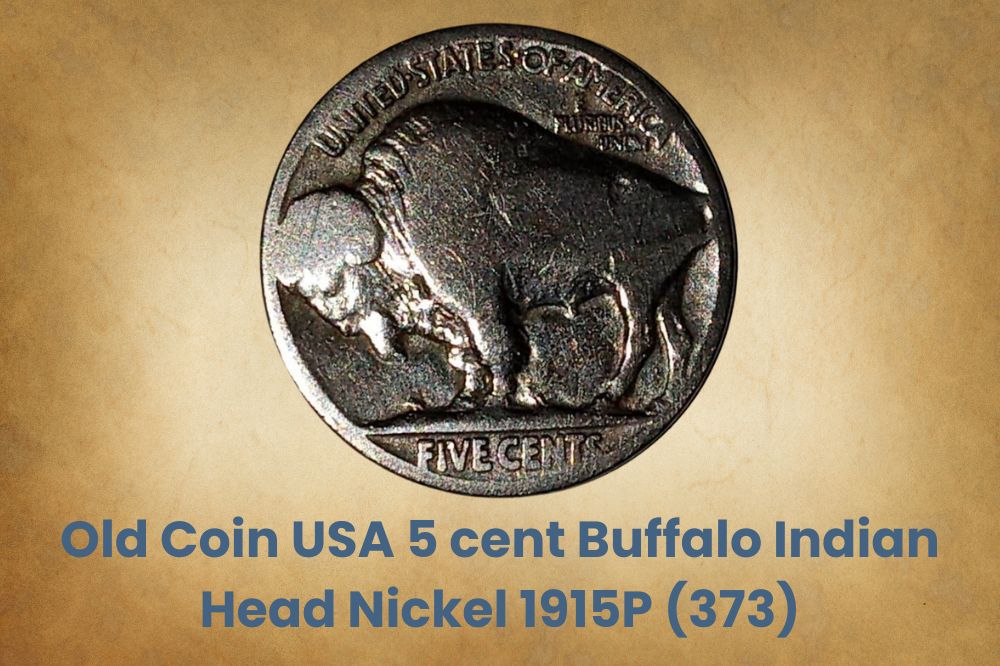 Old Coin USA 5 cent Buffalo Indian Head Nickel 1915P (373)