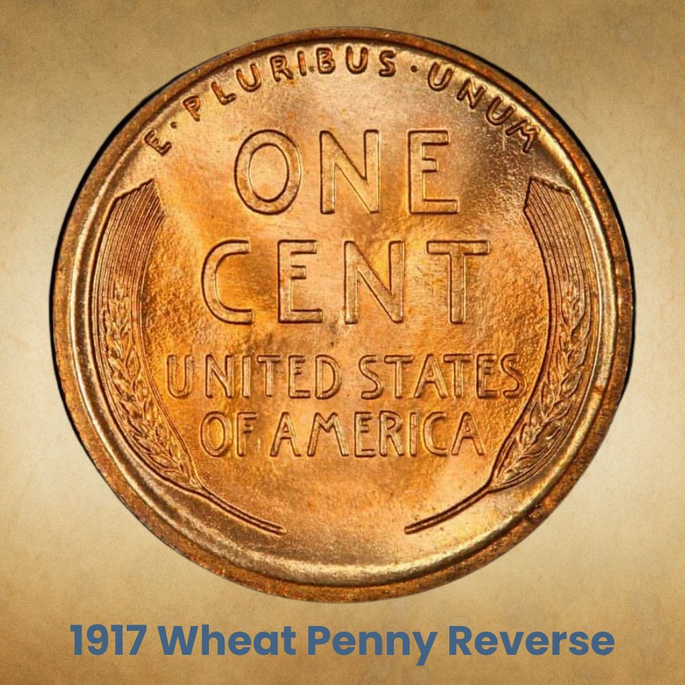 The Reverse of the 1917 Wheat Penny
