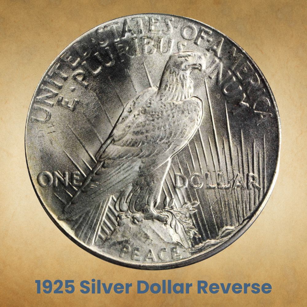 The Reverse of the 1925 Silver Dollar