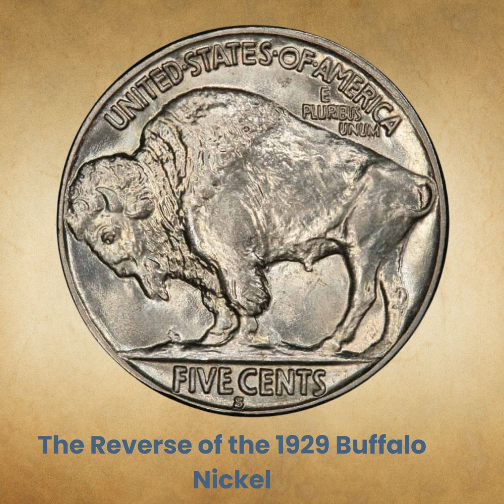 The Reverse of the 1929 Buffalo Nickel