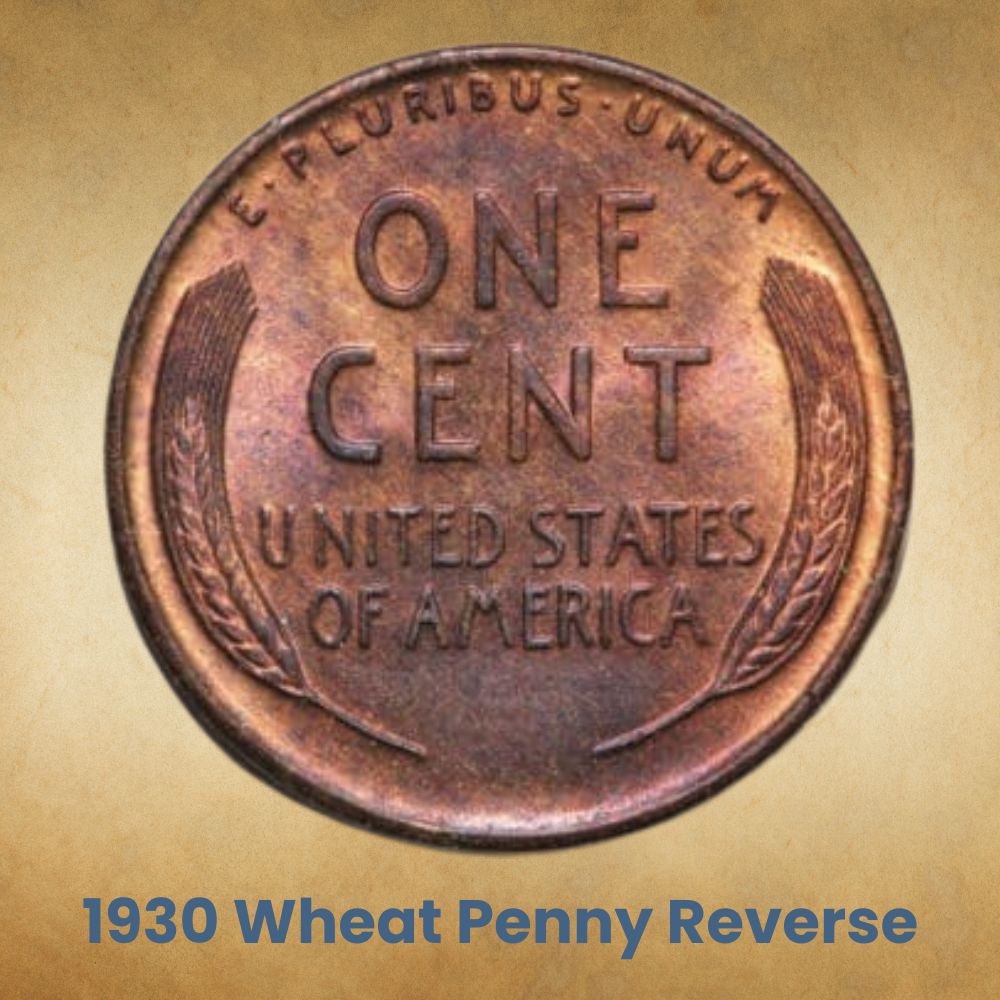 The Reverse of the 1930 Wheat Penny