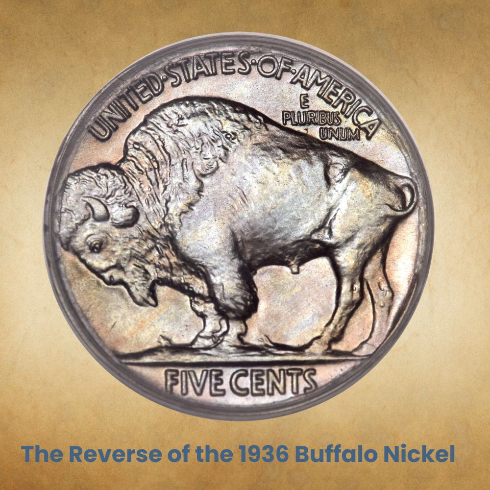 The Reverse of the 1936 Buffalo Nickel