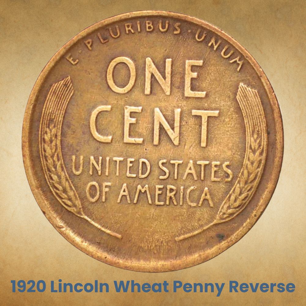The reverse of the 1920 Lincoln wheat penny
