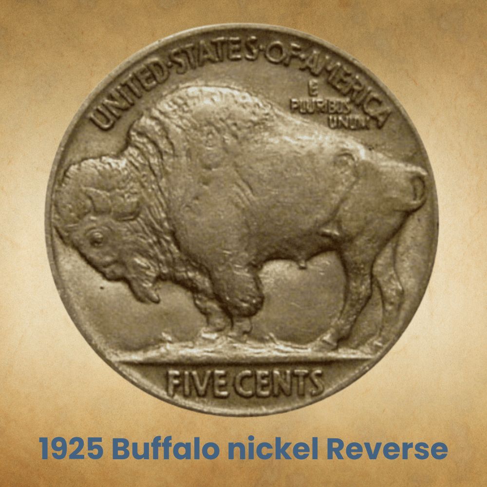 The reverse of the 1925 Buffalo nickel