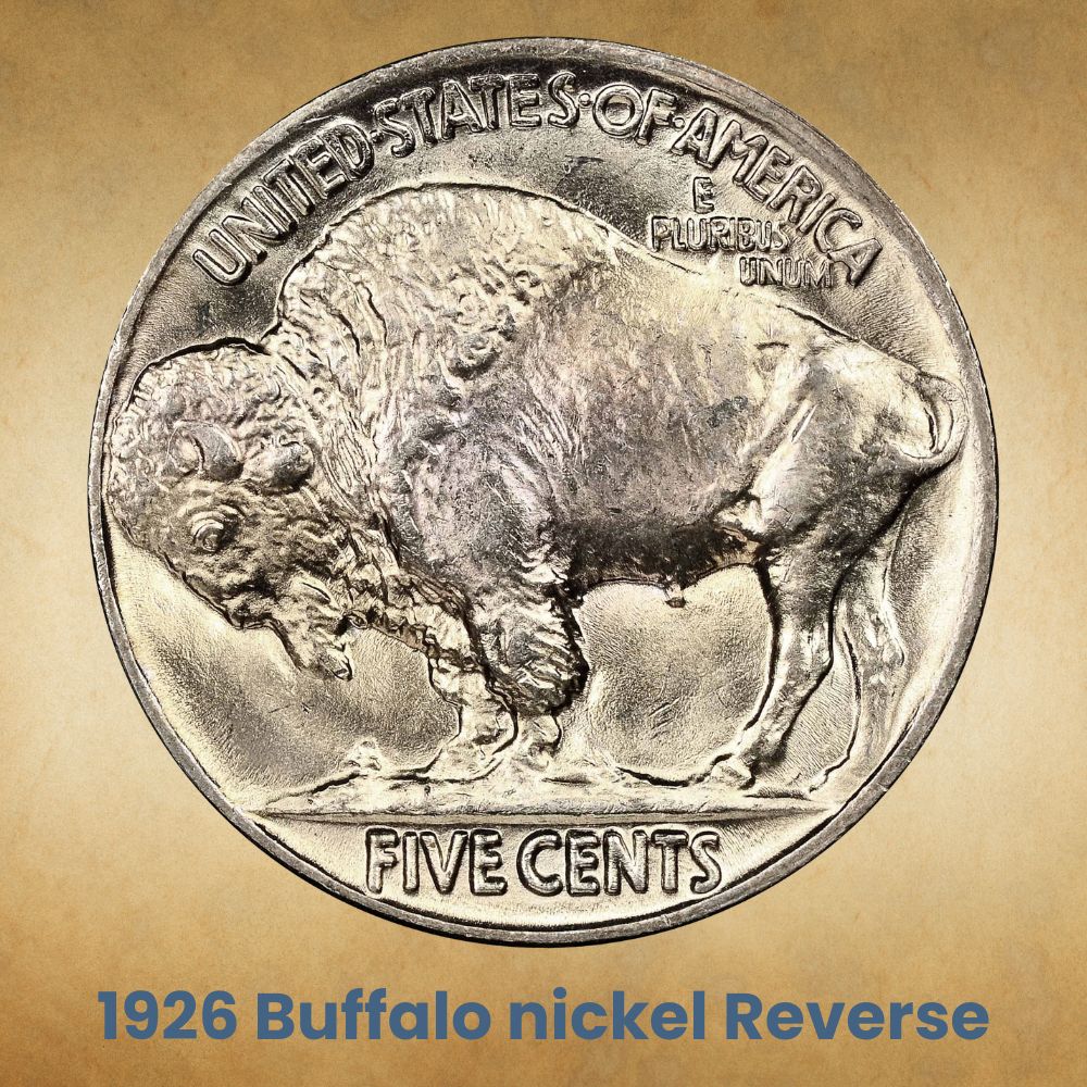 The reverse of the 1926 Buffalo nickel