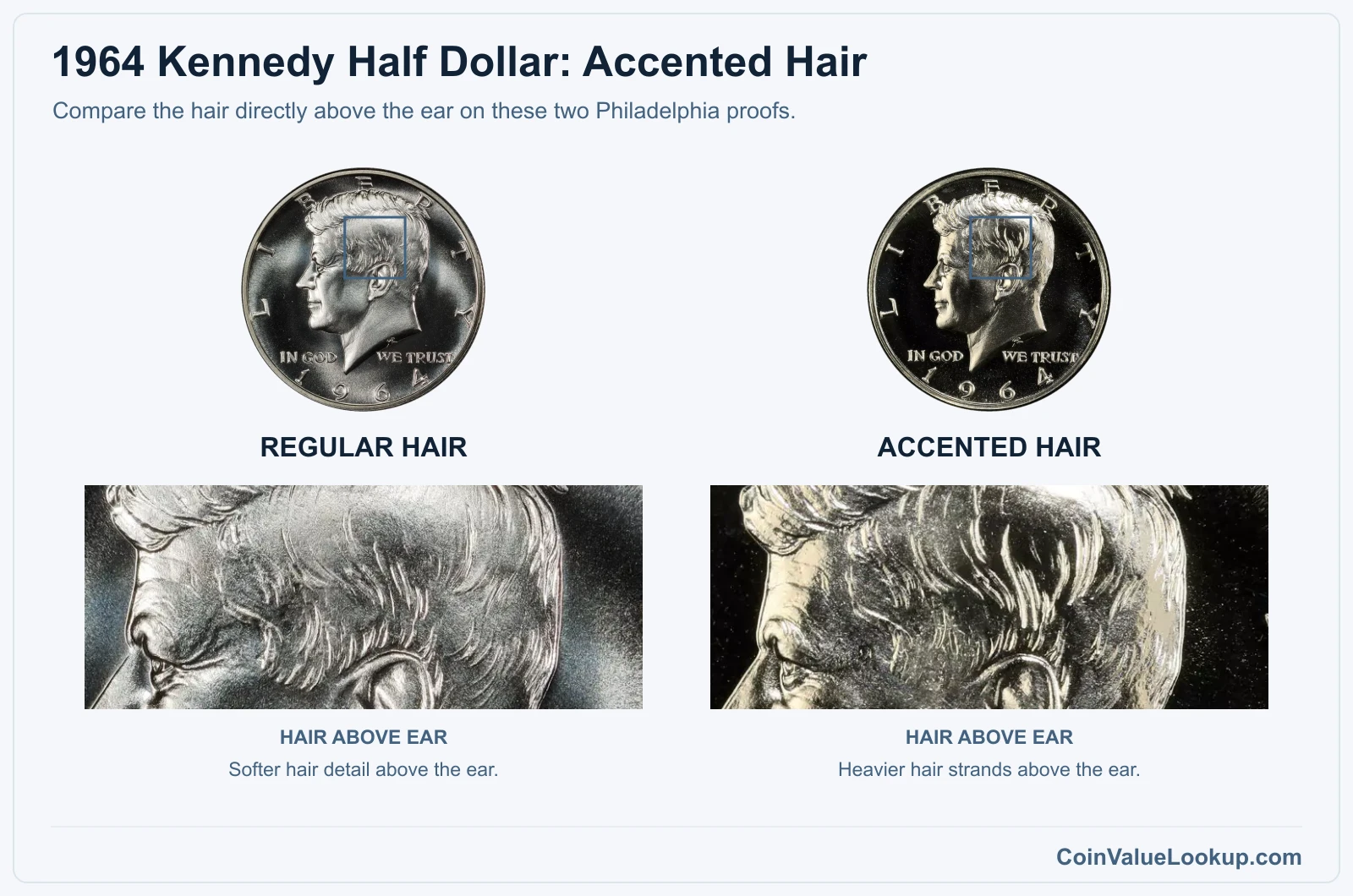 1964 Kennedy Half Dollar: Accented Hair with genuine specimen detail enlargements