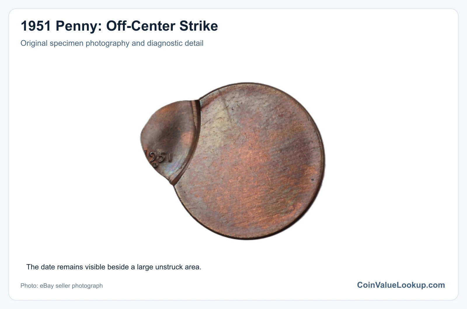1951 Penny: Off-Center Strike with diagnostic detail