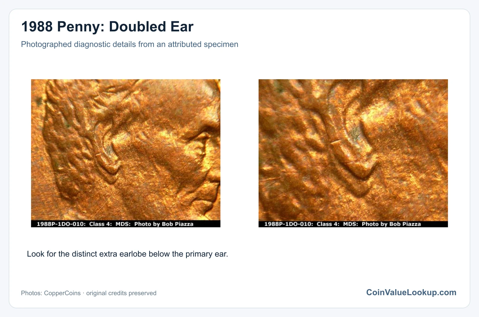 1988 Penny: Doubled Ear with diagnostic detail