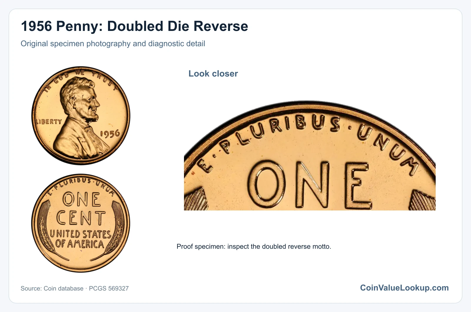 1956 Penny: Doubled Die Reverse with diagnostic detail