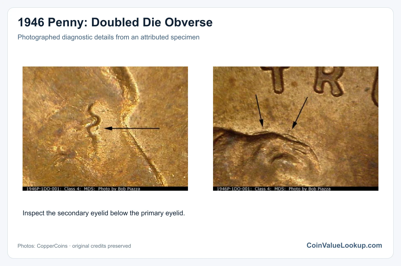 1946 Penny: Doubled Die Obverse with diagnostic detail