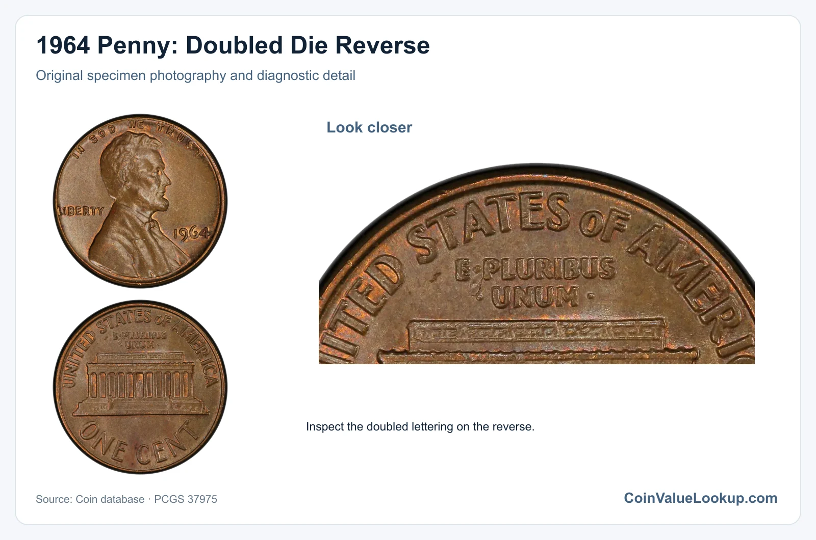 1964 Penny: Doubled Die Reverse with diagnostic detail
