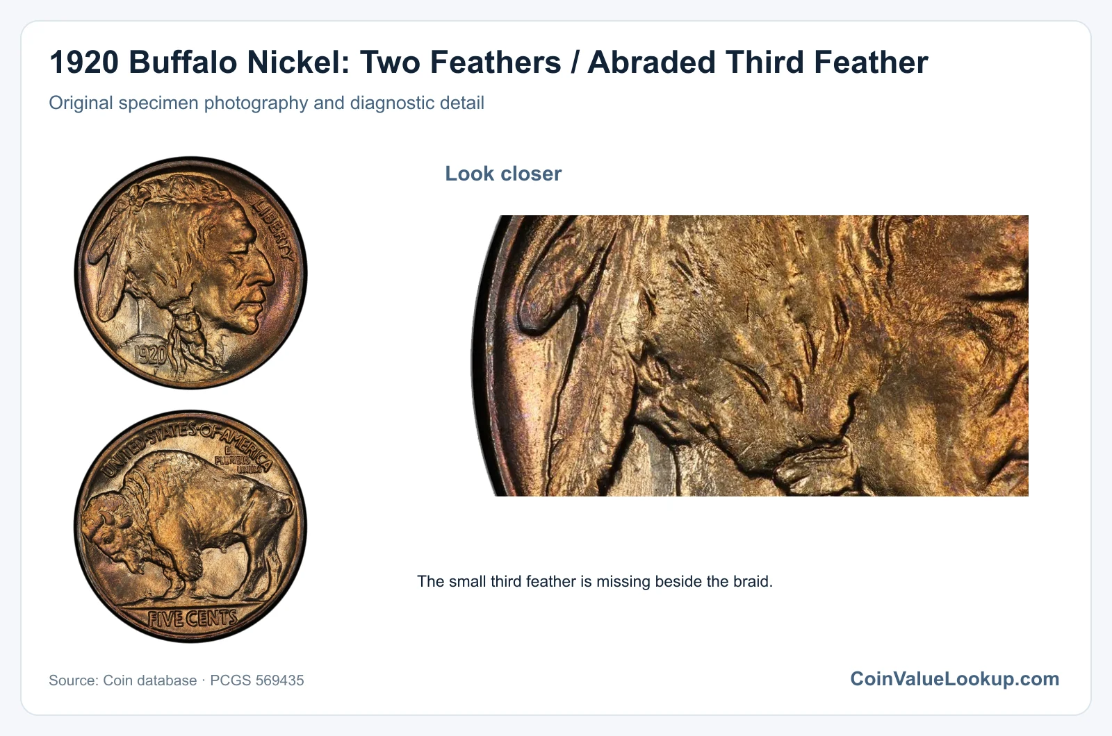 1920 Buffalo Nickel: Two Feathers / Abraded Third Feather with diagnostic detail