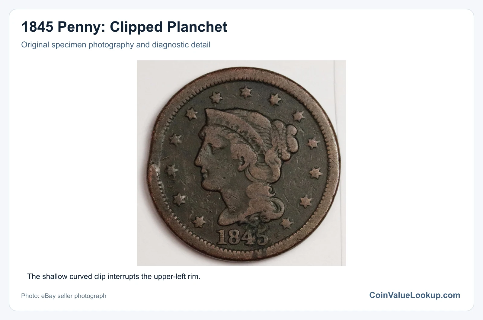 1845 Penny: Clipped Planchet with diagnostic detail