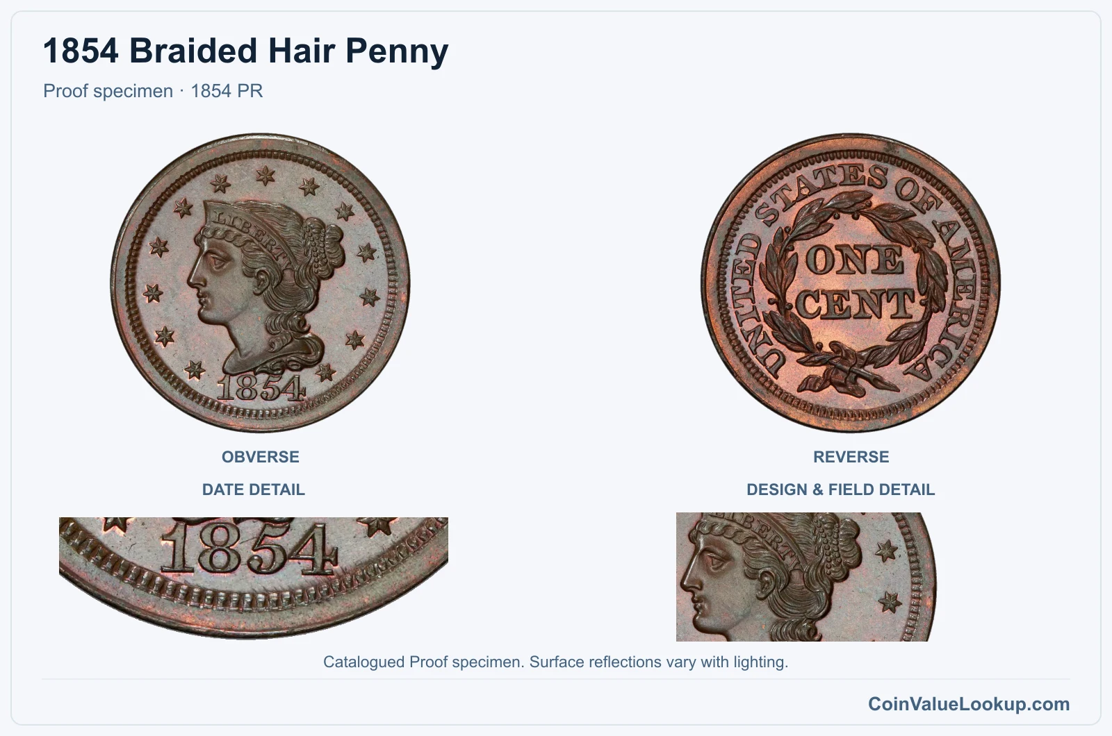 1854 Braided Hair Cent Proof genuine specimen with enlarged date and surface detail