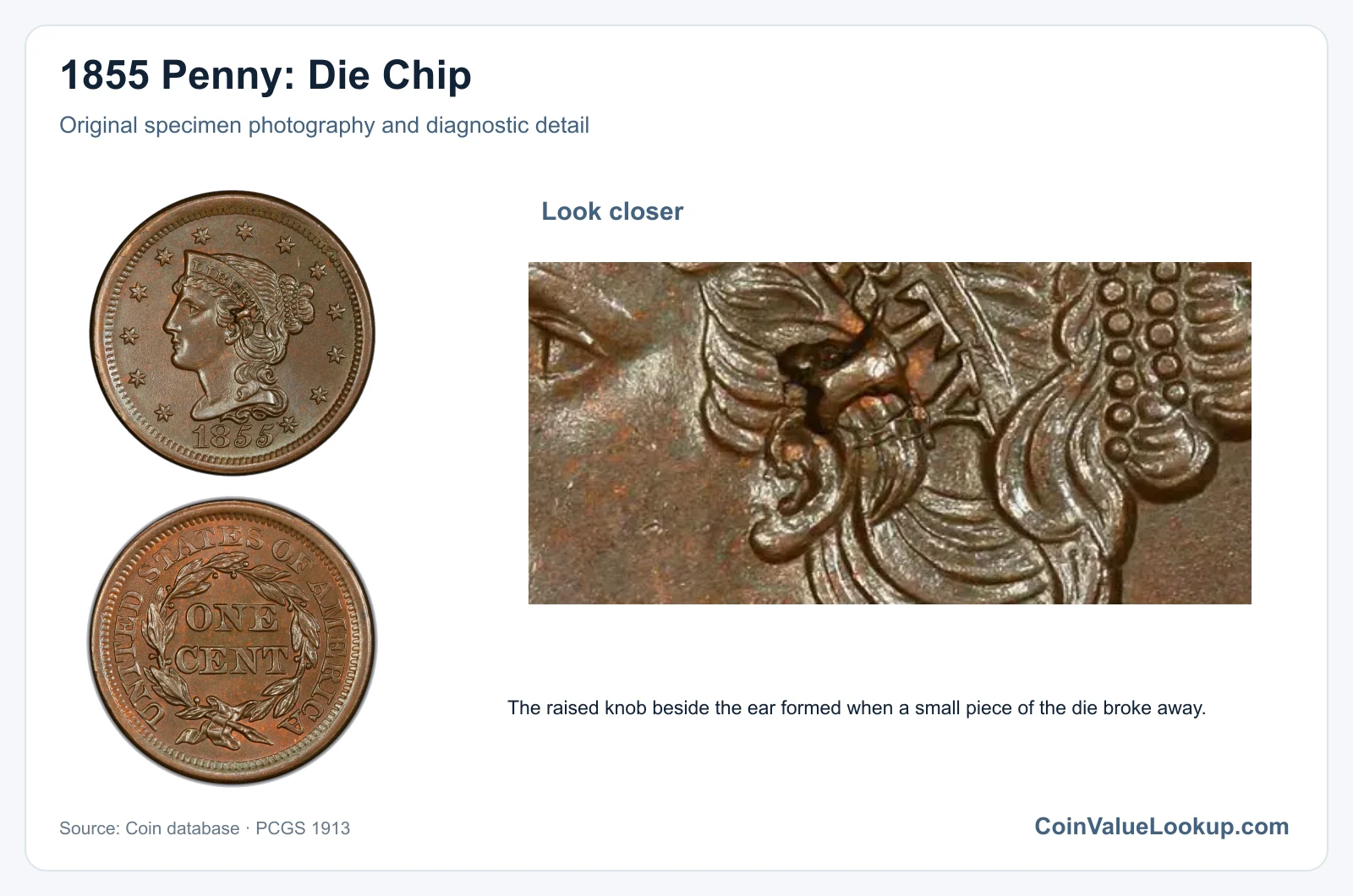 1855 Penny: Die Chip with diagnostic detail