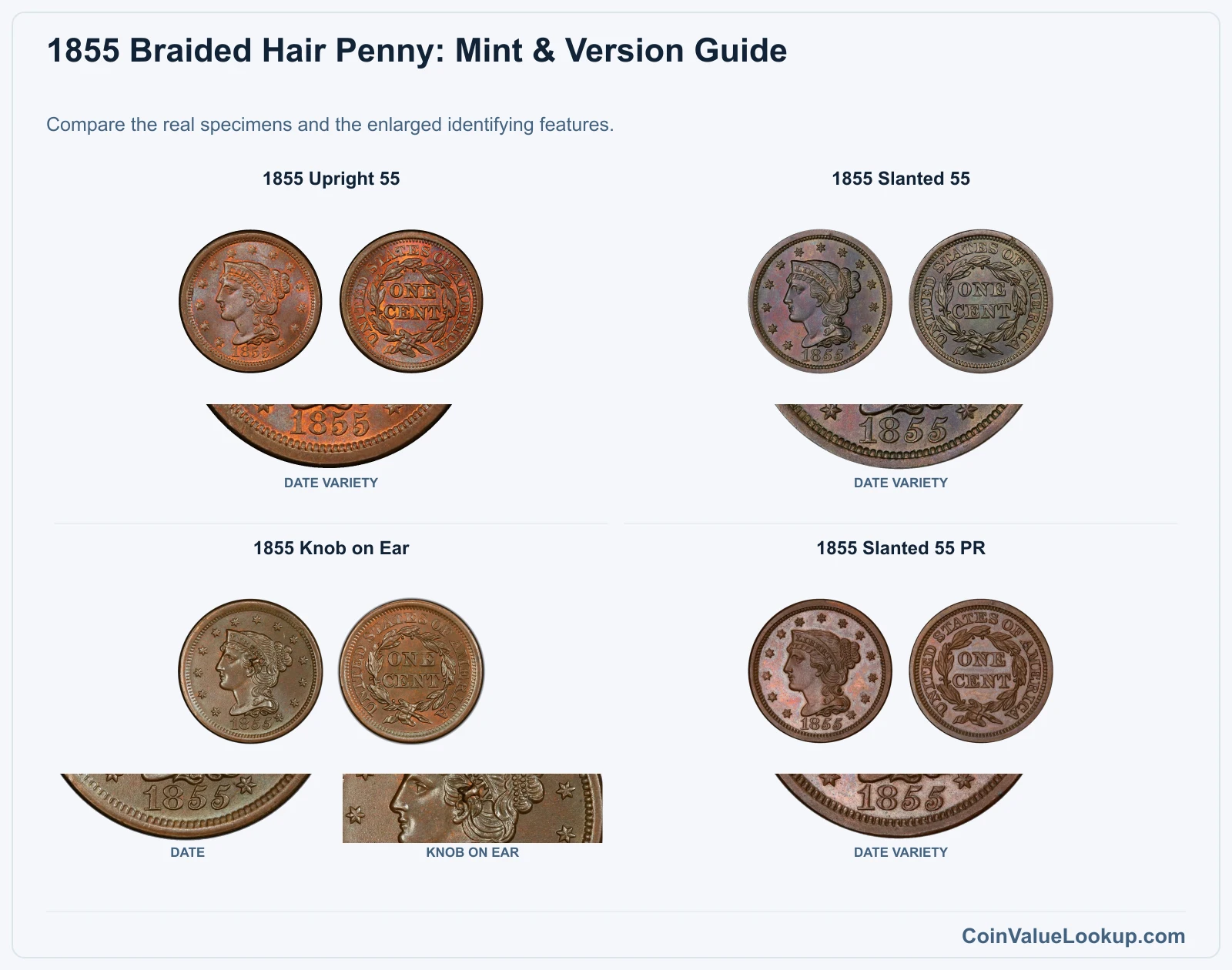 1855 Braided Hair Cent Coin Value: How Much Is It Worth?