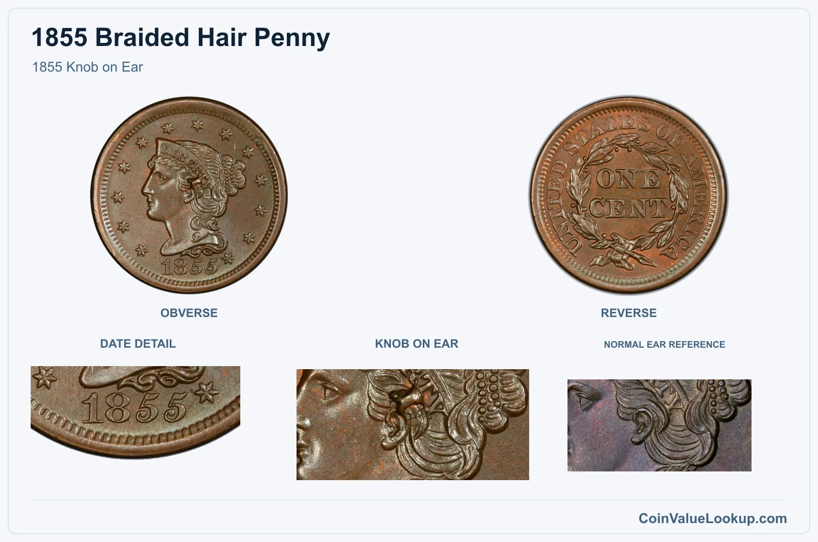 1855 Knob on Ear with genuine knob on ear and same-year reference