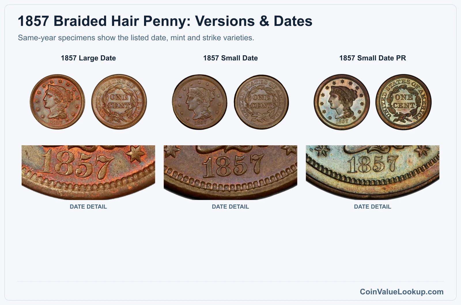 1857 Braided Hair Cent Coin Value: How Much Is It Worth?