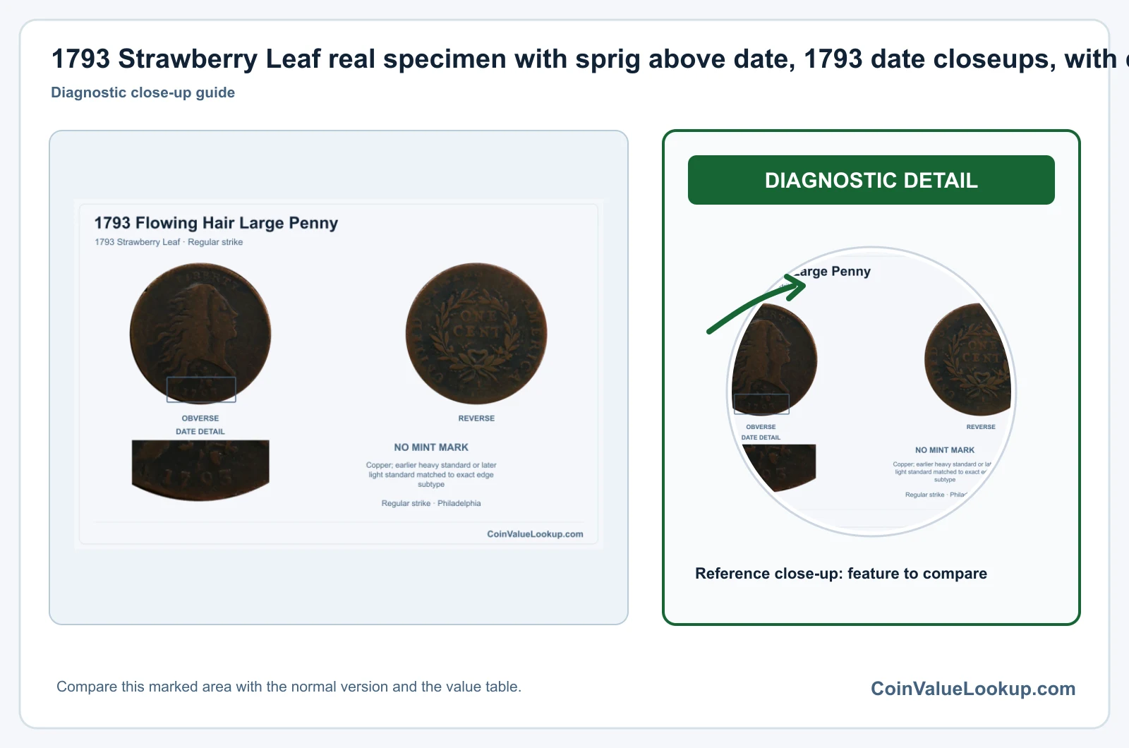 1793 Strawberry Leaf real specimen with sprig above date, 1793 date closeups, with date and mint-location details