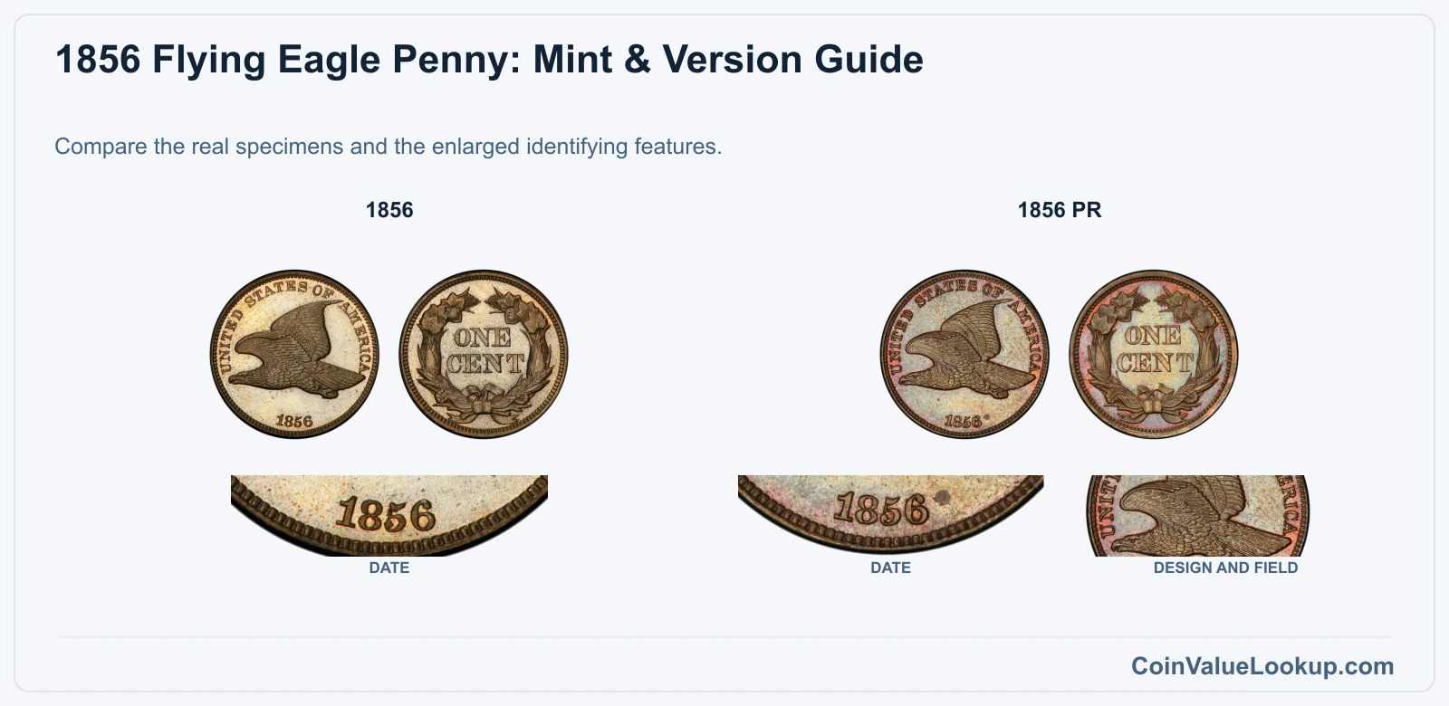 1856 Flying Eagle Cent Coin Value: How Much Is It Worth?