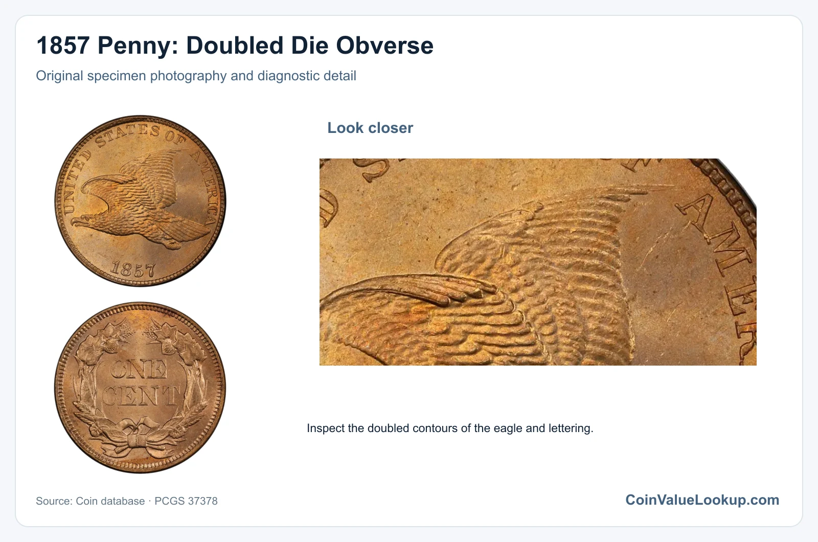1857 Penny: Doubled Die Obverse with diagnostic detail