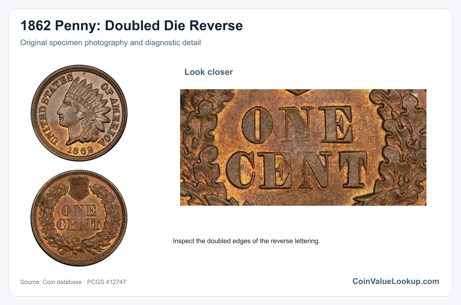 1862 Penny: Doubled Die Reverse with diagnostic detail