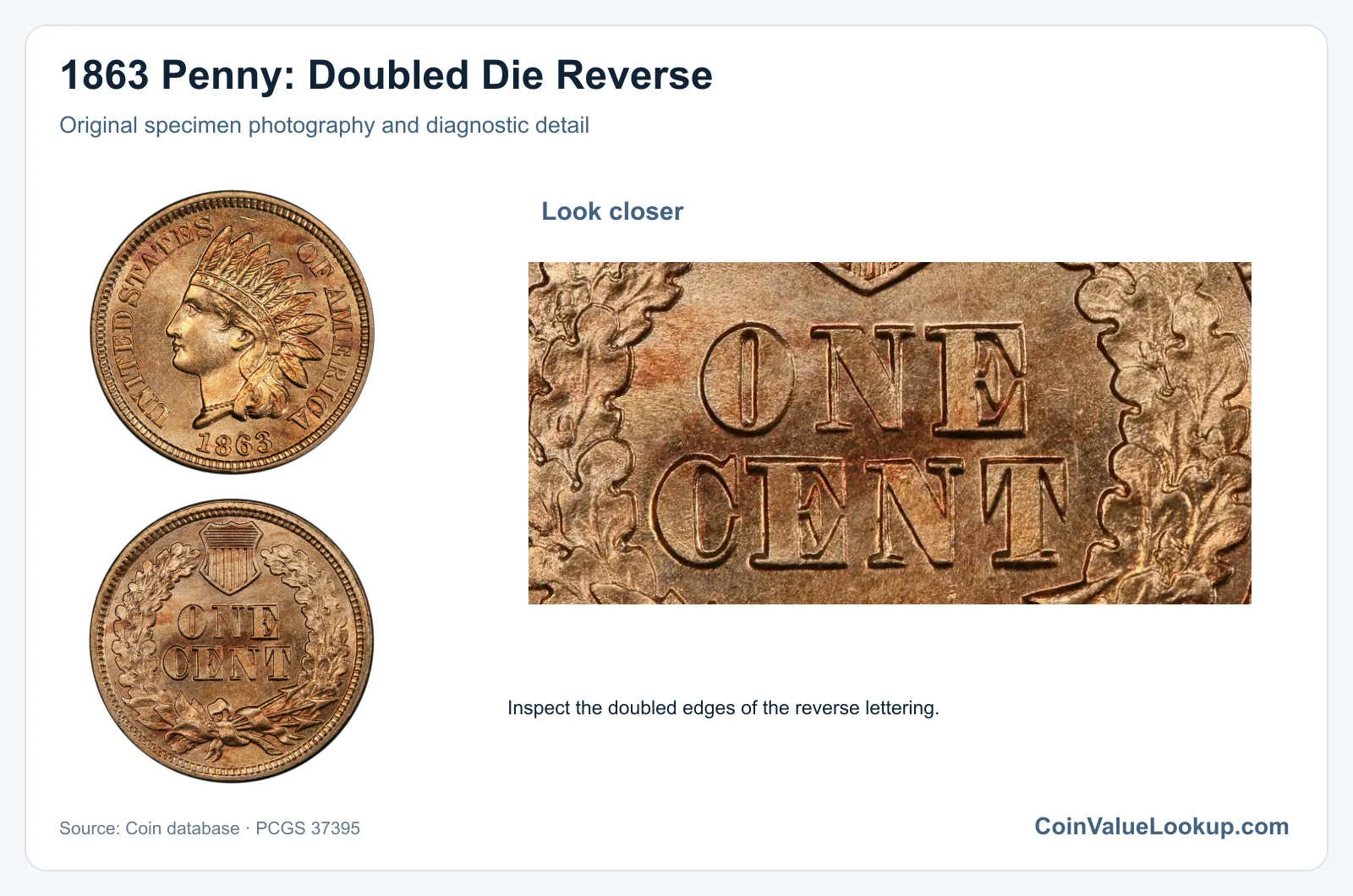 1863 Penny: Doubled Die Reverse with diagnostic detail