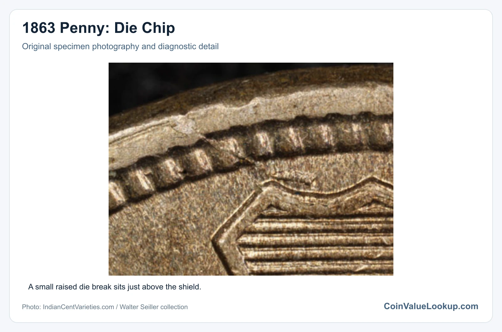 1863 Penny: Die Chip with diagnostic detail