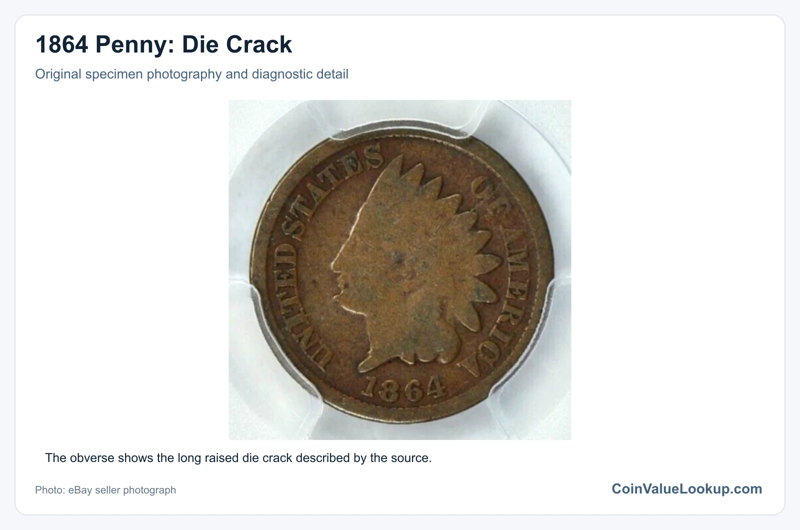1864 Penny: Die Crack with diagnostic detail