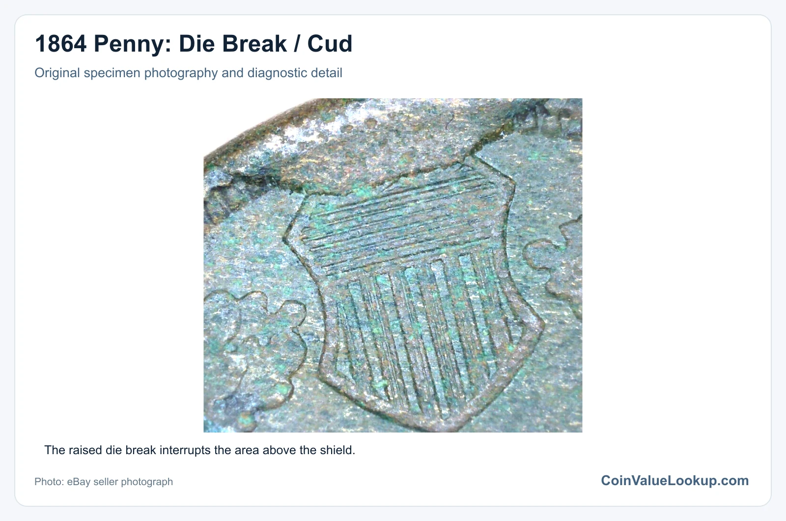 1864 Penny: Die Break / Cud with diagnostic detail