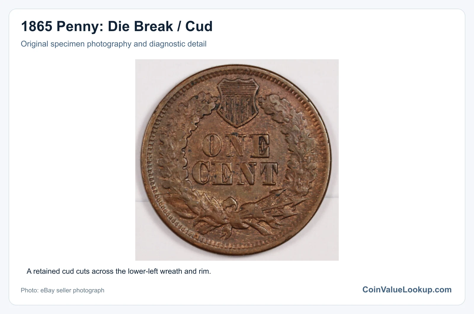 1865 Penny: Die Break / Cud with diagnostic detail