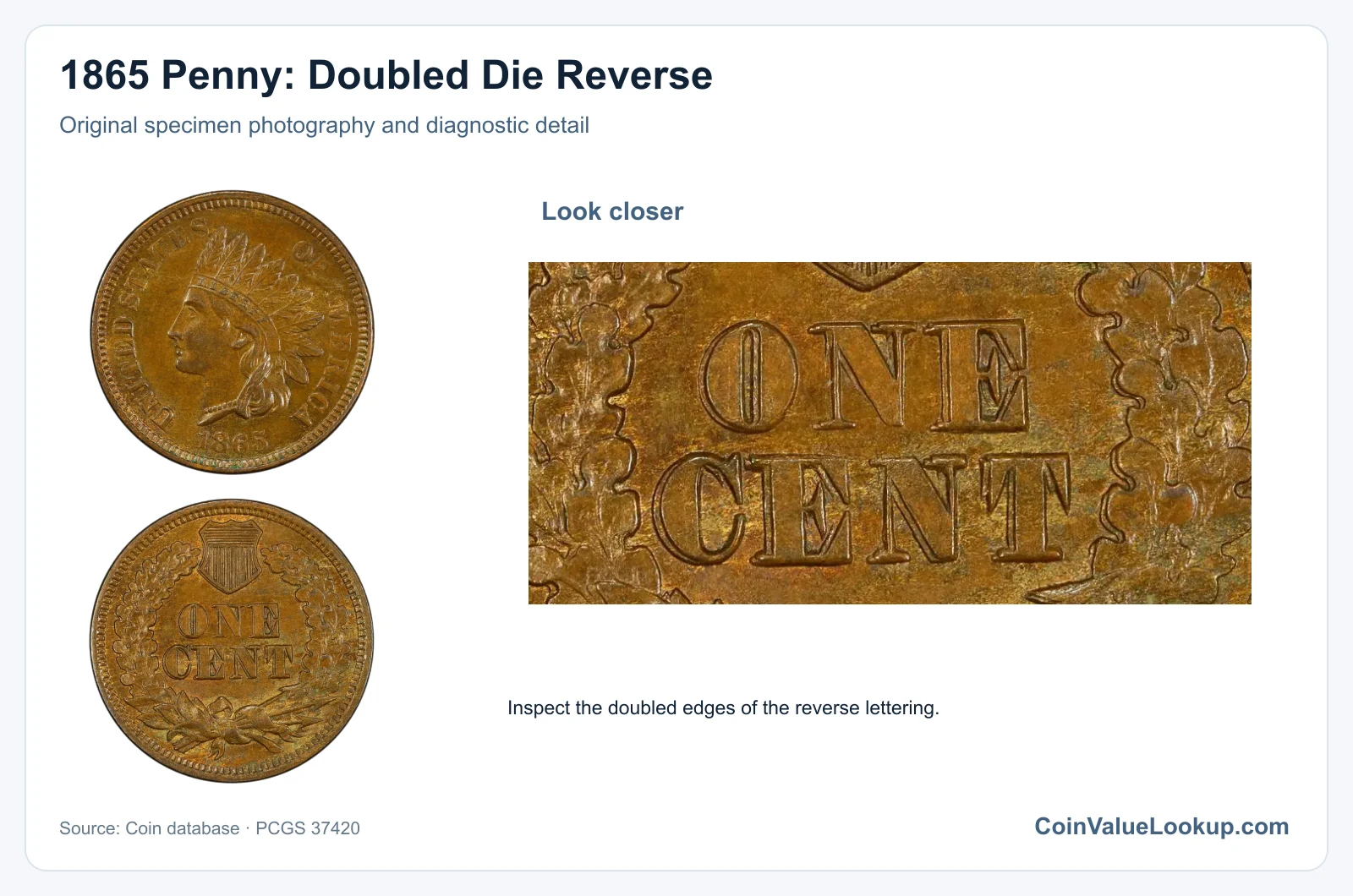 1865 Penny: Doubled Die Reverse with diagnostic detail