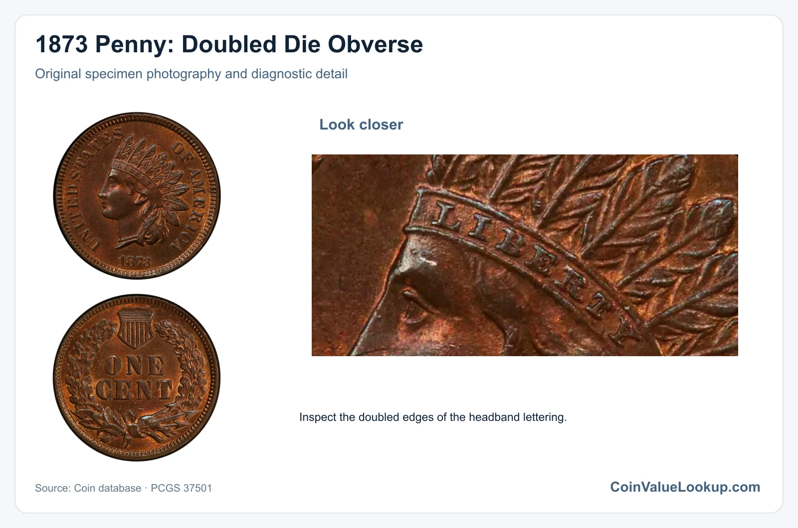 1873 Penny: Doubled Die Obverse with diagnostic detail