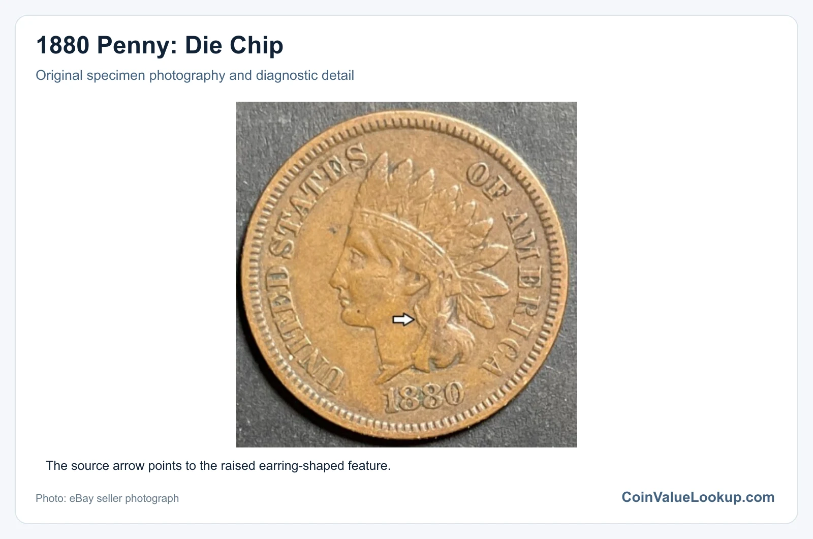 1880 Penny: Die Chip with diagnostic detail